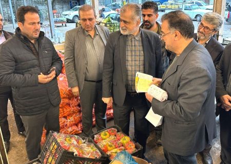 تشدید نظارت بر بازار گیلان در آستانه شب یلدا