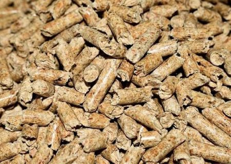 کاهش وابستگی صنعت طیور به پروتئین وارداتی سویا با پودر حشرات