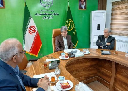دوبرابر شدن سطح زیر کشت گیاهان دارویی در گیلان؛ از به لیمو و ختمی تا زعفران