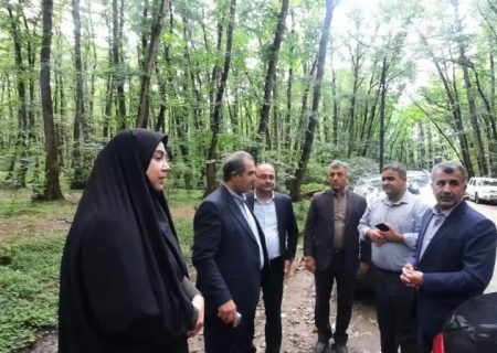 ثبت جهانی گیسوم تالش نیازمند ساماندهی و استقرار مناسب دستفروشان است