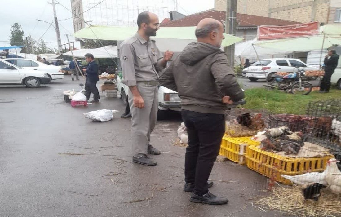 از خرید و فروش پرندگان وحشی خودداری کنید